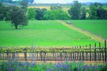 cowra.jpg
